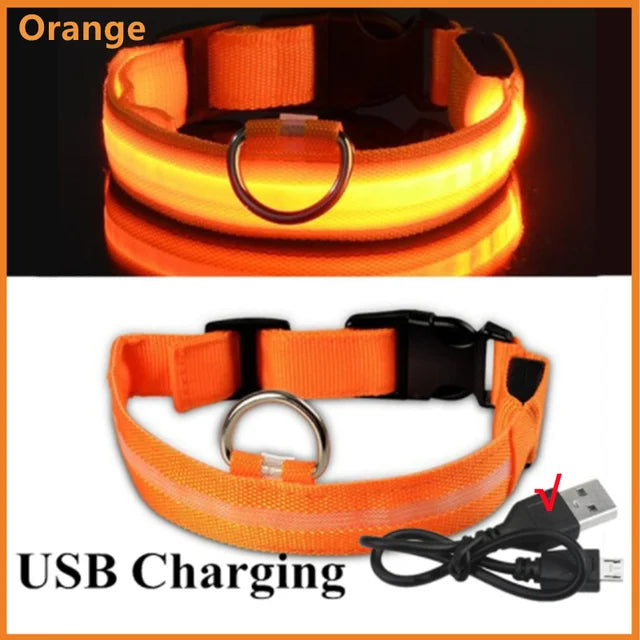 GlowPaws -  LED Halsband