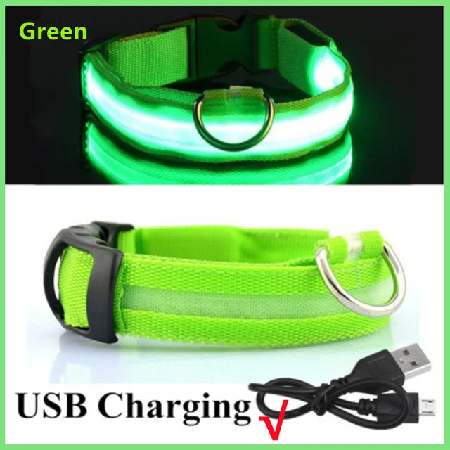 GlowPaws -  LED Halsband