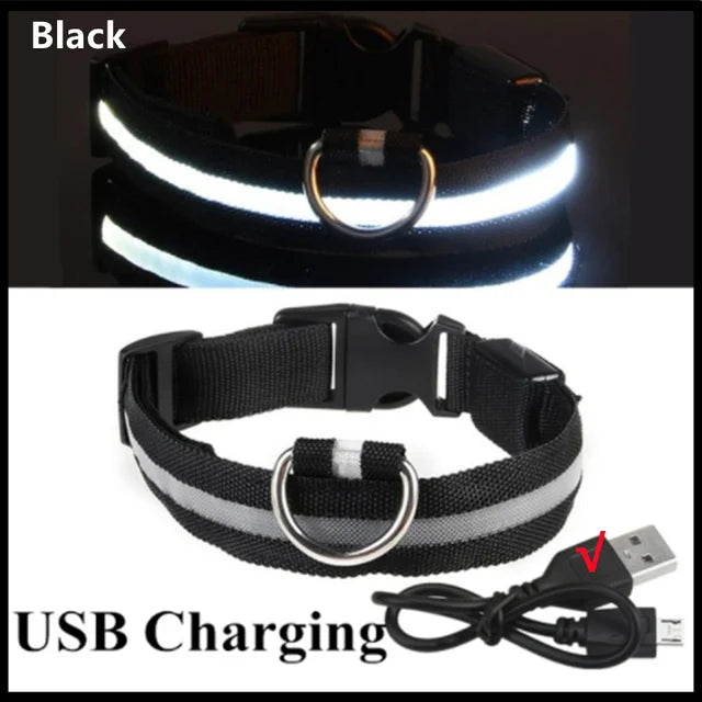 GlowPaws -  LED Halsband