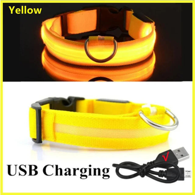 GlowPaws -  LED Halsband