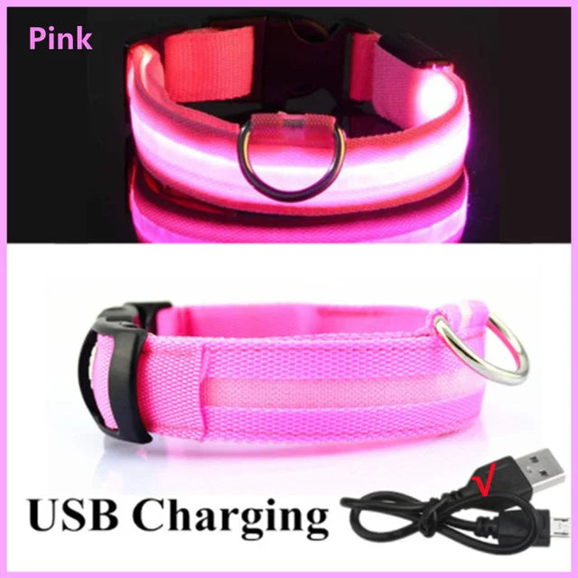 GlowPaws -  LED Halsband