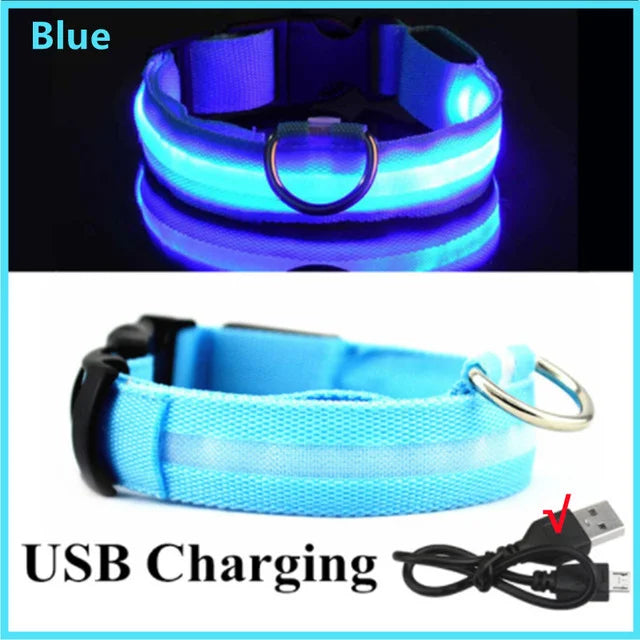 GlowPaws -  LED Halsband