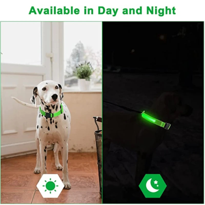 GlowPaws -  LED Halsband