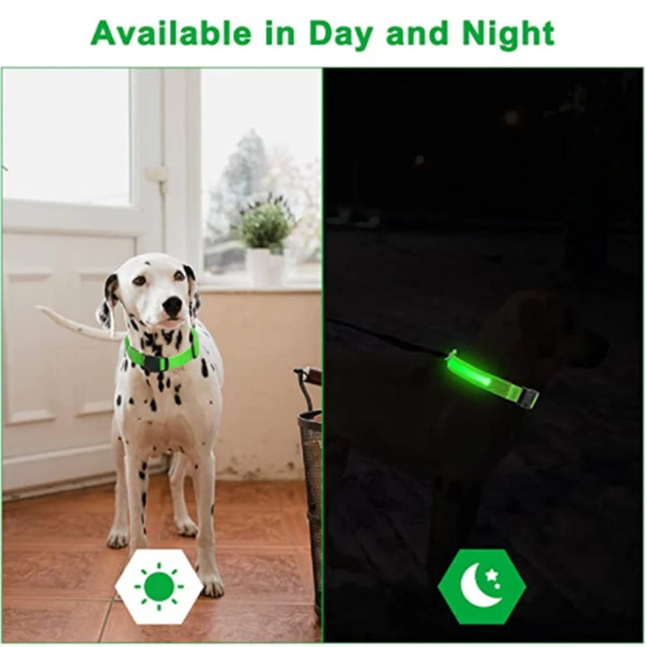 GlowPaws -  LED Halsband