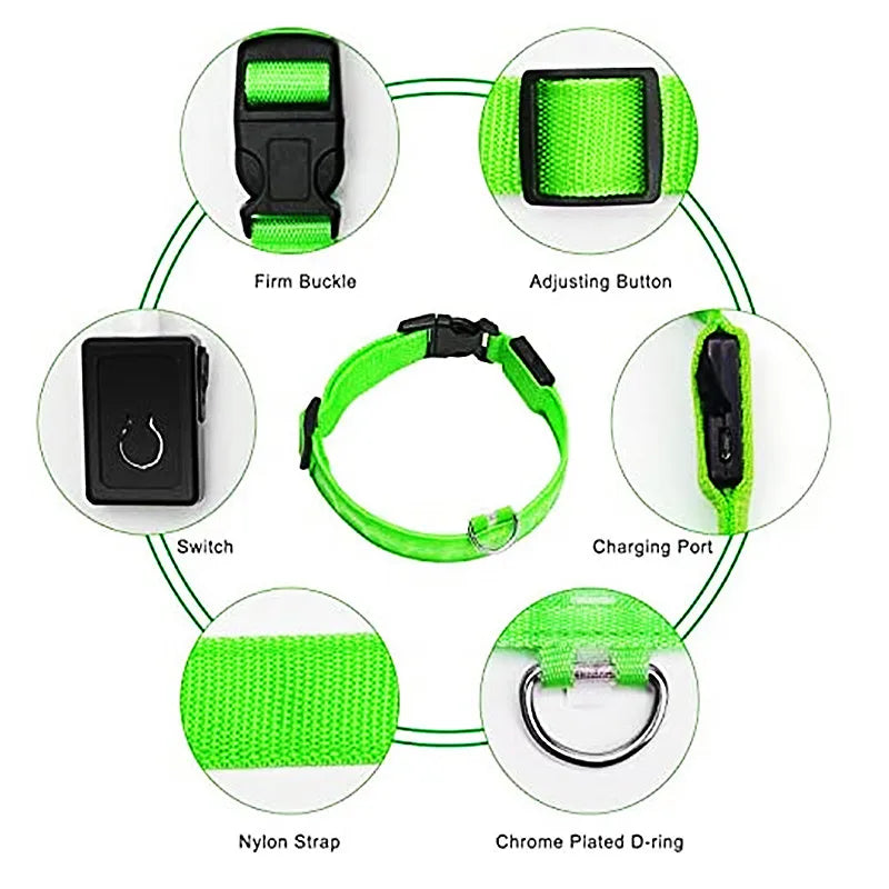 GlowPaws -  LED Halsband