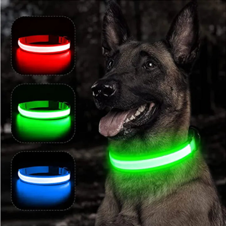 GlowPaws -  LED Halsband