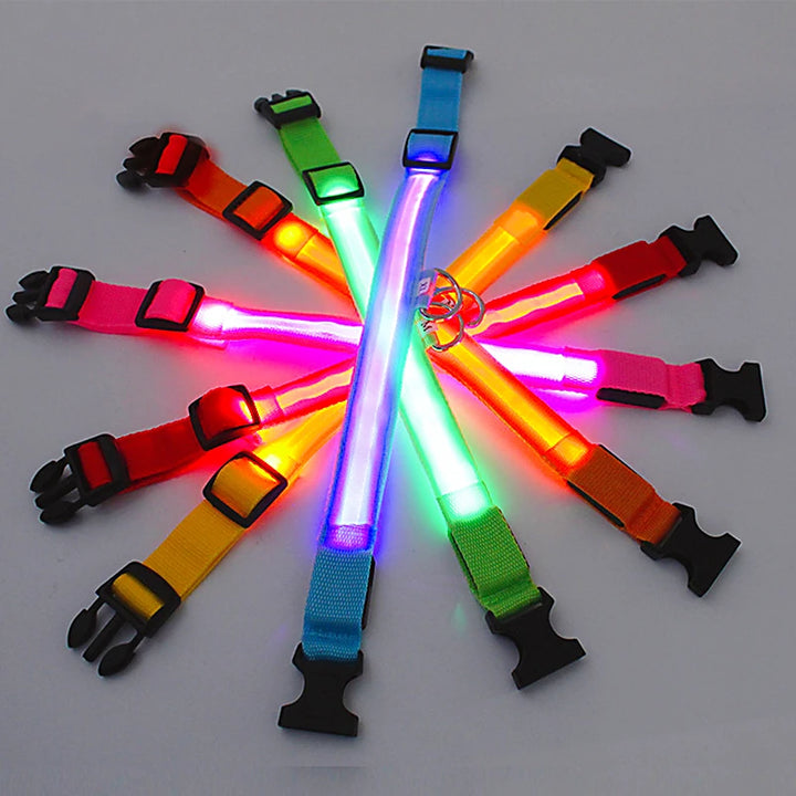 GlowPaws -  LED Halsband