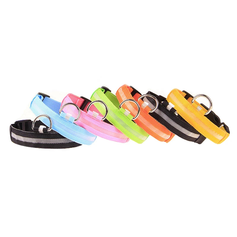 GlowPaws -  LED Halsband