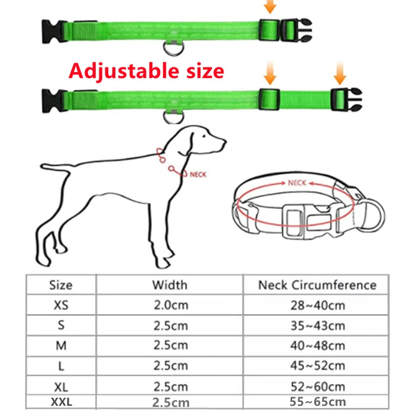 GlowPaws -  LED Halsband