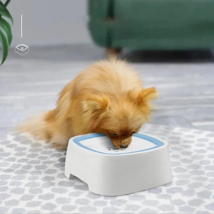 SplashGuard | Handige waterbak (voor honden en katten)